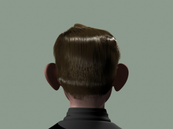 Babbage hair test - back view