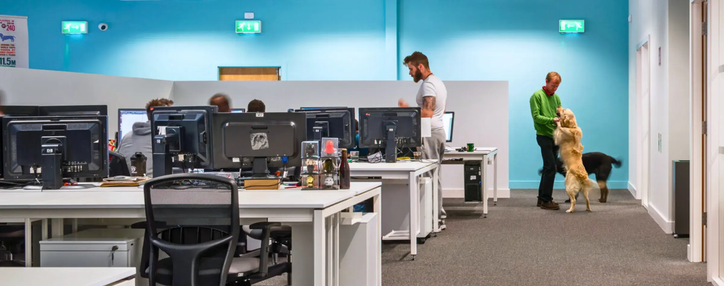 Office interior at Brown Bag Films Dublin studio with desks, monitors, staff working, and a golden retriever standing on its hind legs near two people.