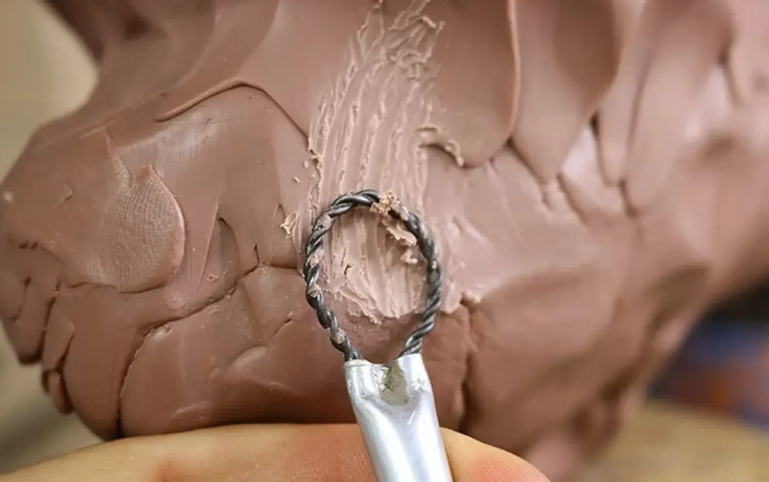 Twisted wire loop tool shaping and texturing clay sculpture.
