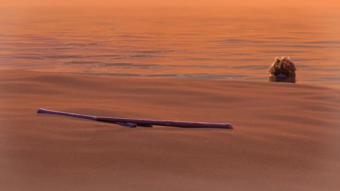 A still from the short film An Ode to Love, showing a man deserted on a beach with a stick