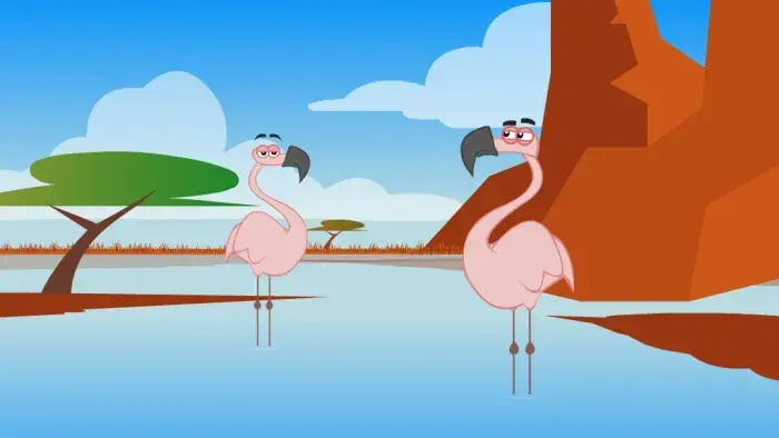 two flamingos standing in the water