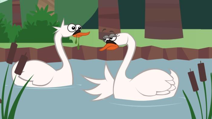 two swans looking at each other